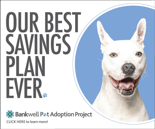 Bankwell Pet Adoption Project